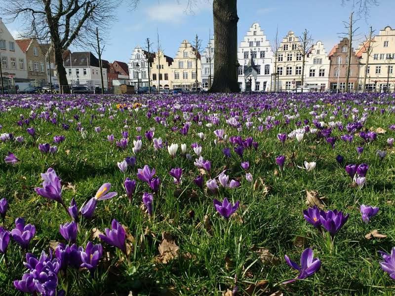 Jugendherberge Friedrichstadt Exterior foto